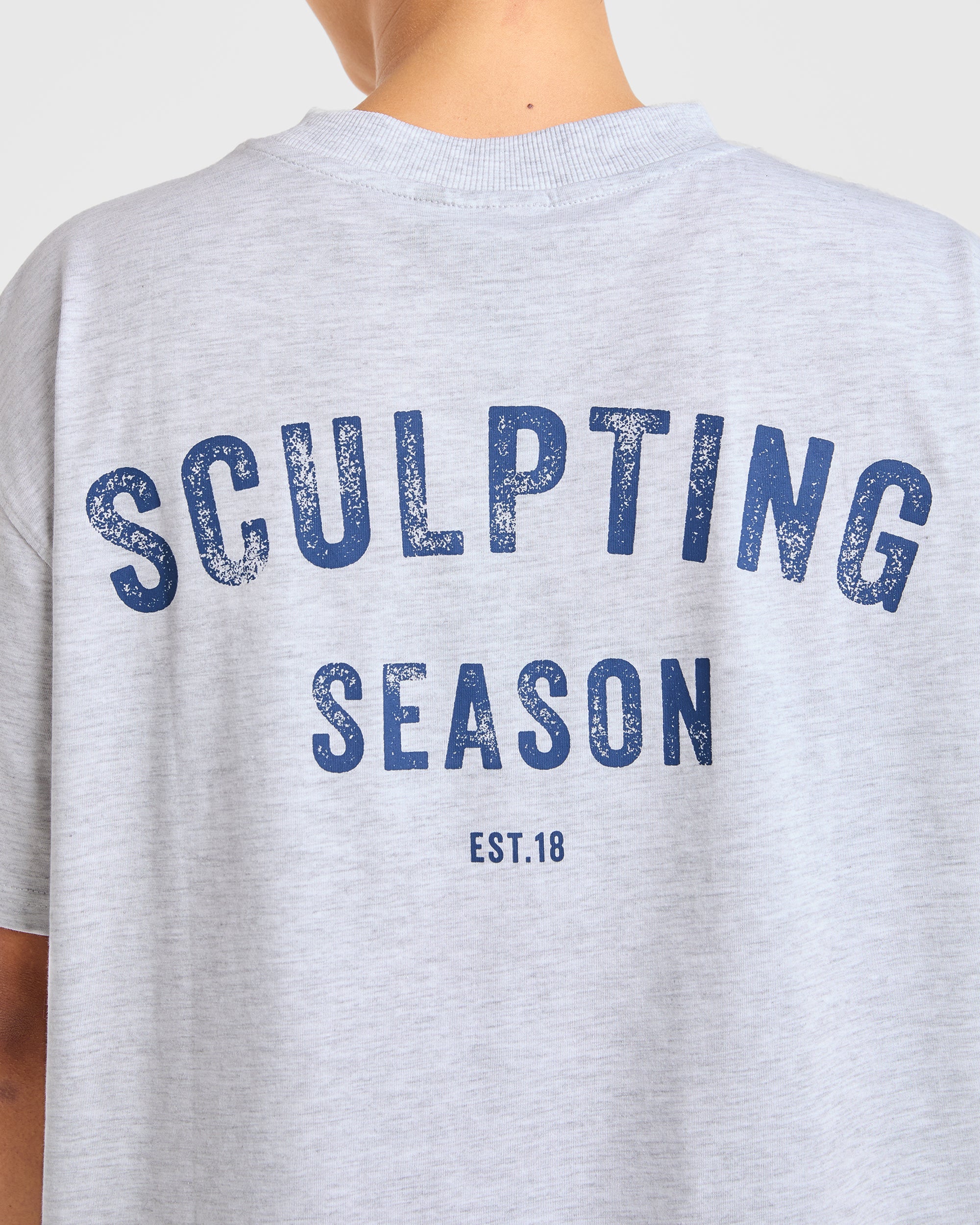 Sculpting Season Oversized T Shirt - Heather Gris/Navy