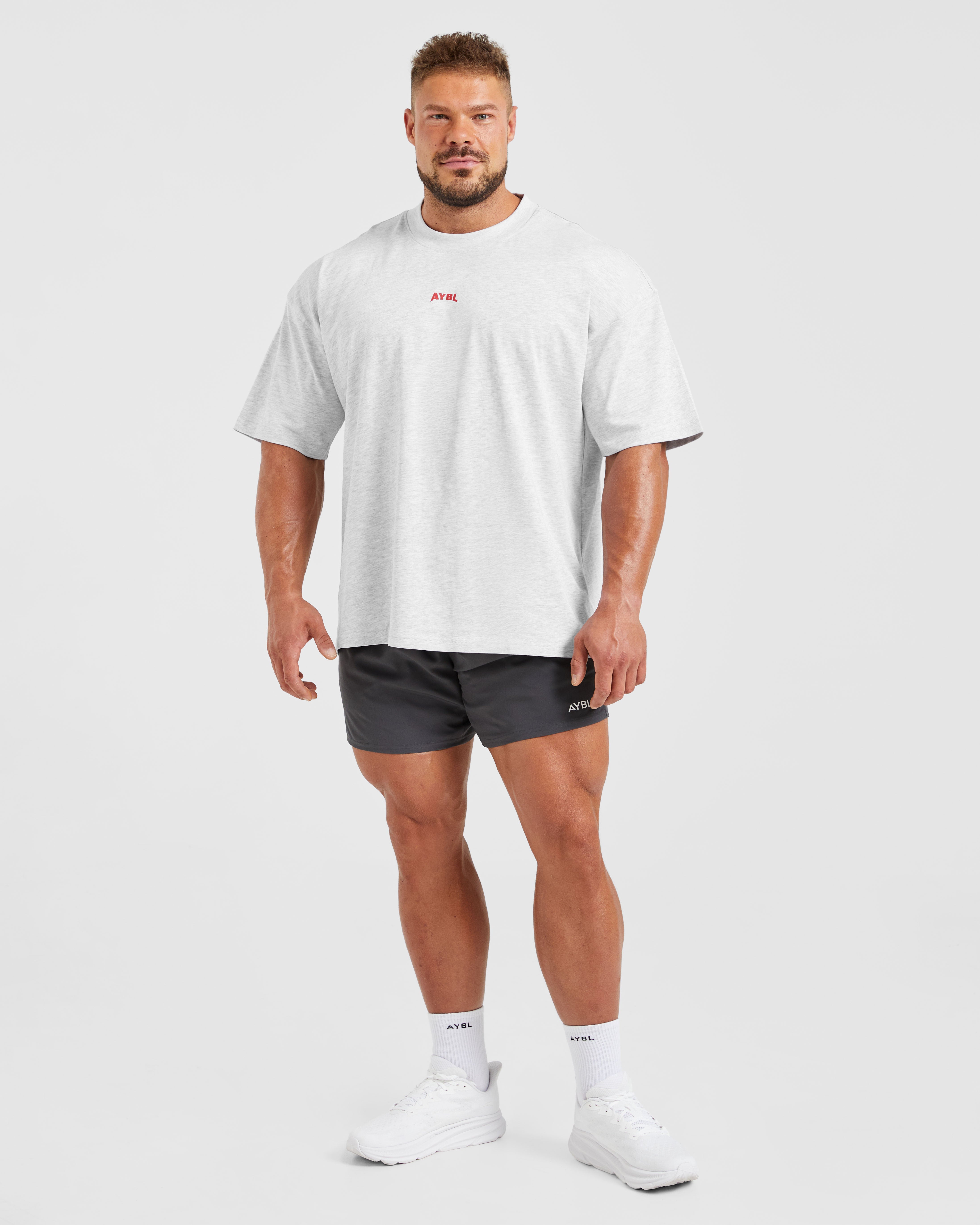 Wesley Vissers X Beyond Limits Oversized T Shirt - Gris Marl