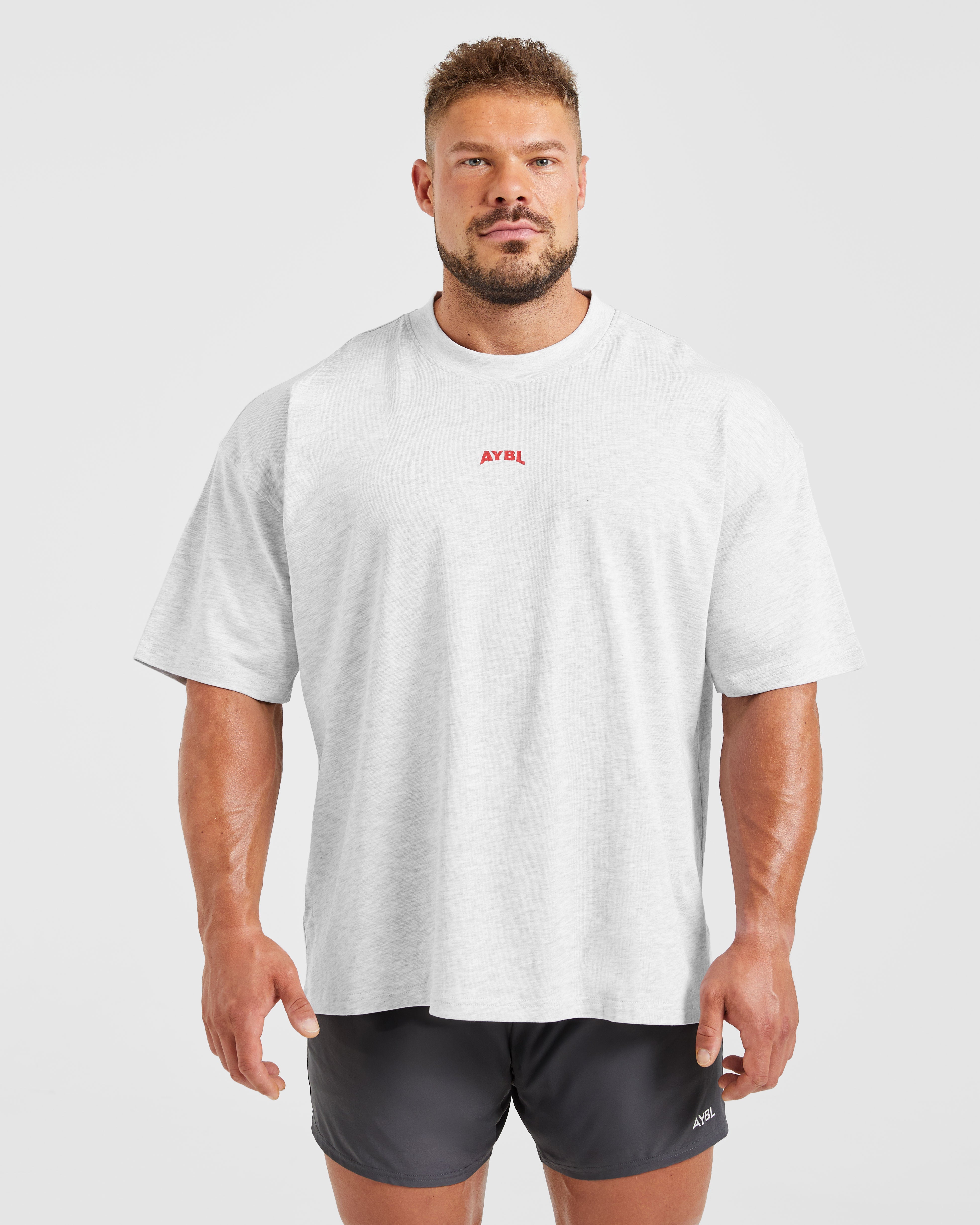 Wesley Vissers X Beyond Limits Oversized T Shirt - Gris Marl