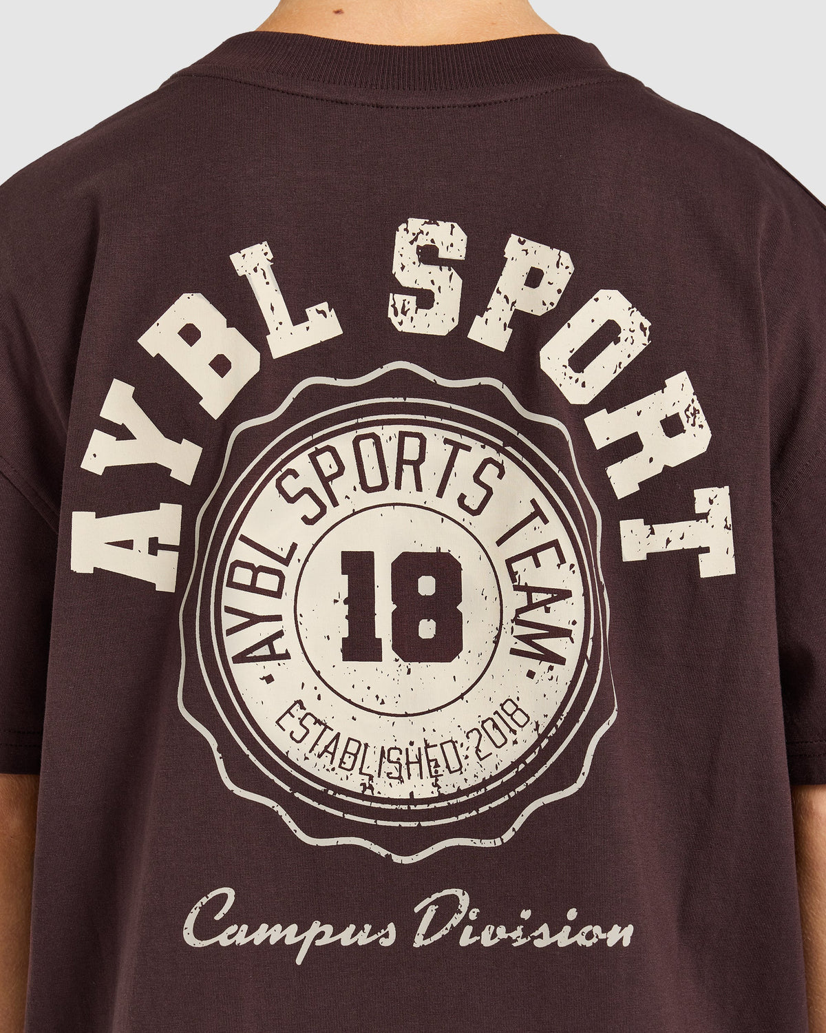 AYBL Campus Division Oversized T Shirt - Cocoa Marron