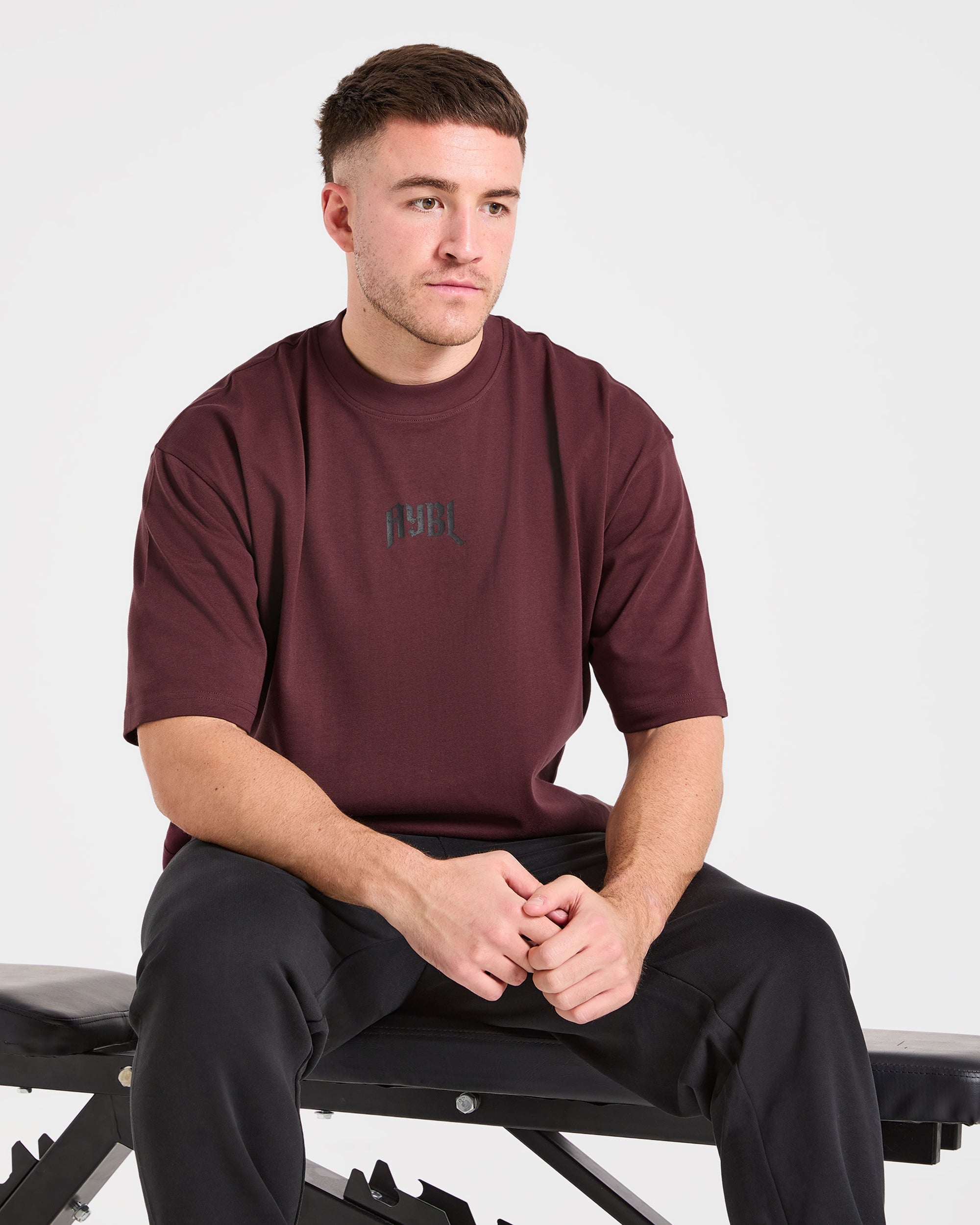 Heavy Lifting Gothic Oversized T Shirt - Dusty Plum/Noir